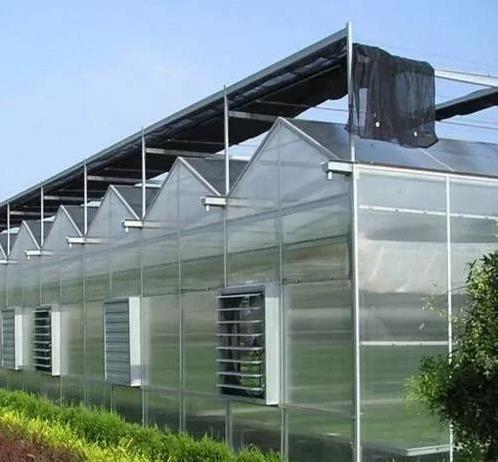 四川花卉大棚溫室栽培如何管理？大棚養(yǎng)殖花卉的好處